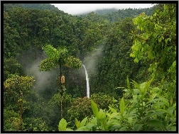 Dżungla, Wodospad